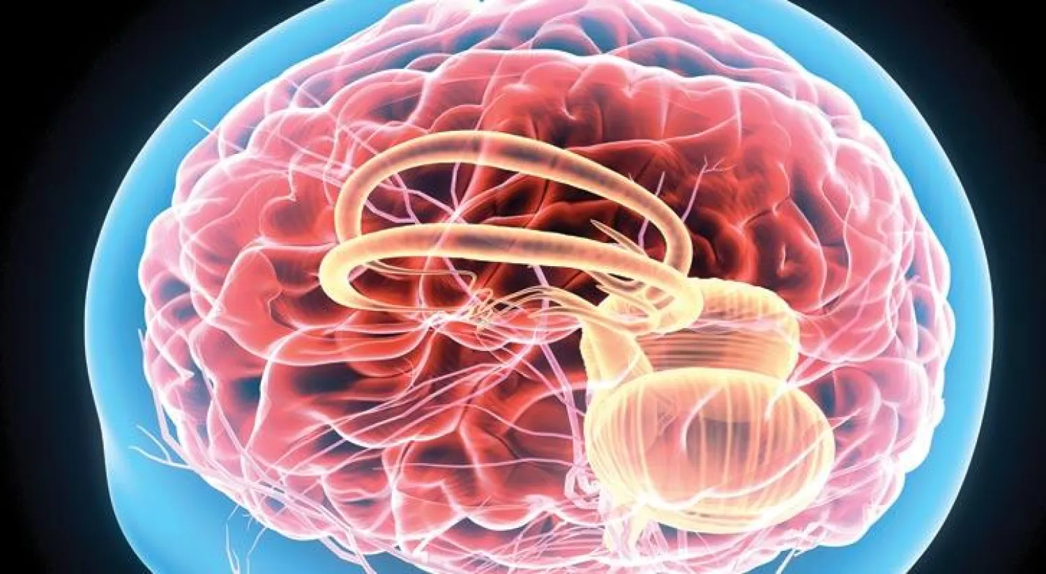 أمراض القلب تؤثر في صحة المخ