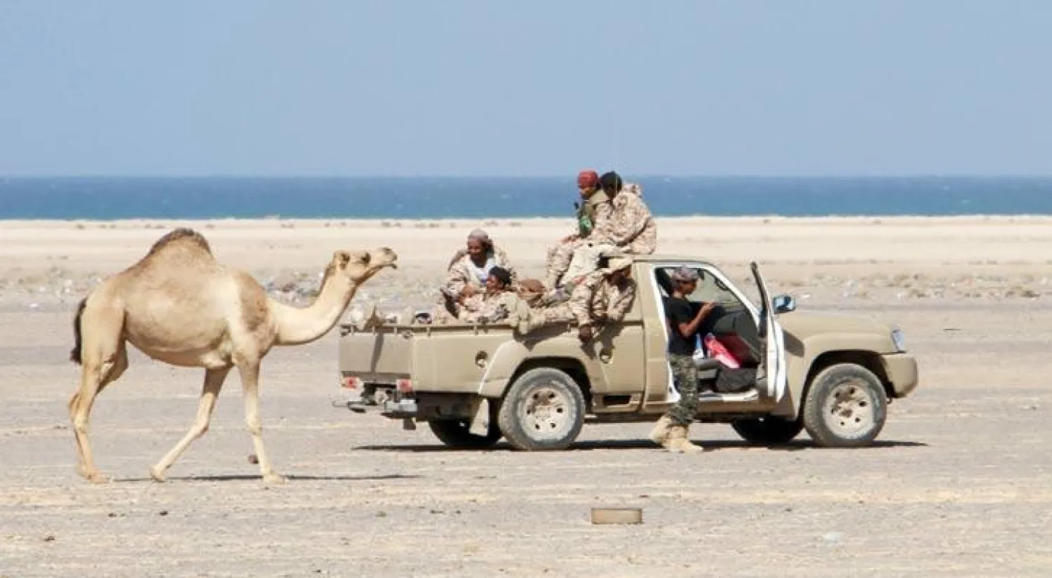 جمل يمر أمام عناصر من الجيش اليمني أثناء مشاركتهم في عملية «الرمح الذهبي» بمديرية ذباب على الساحل الغربي لليمن (أ.ف.ب)