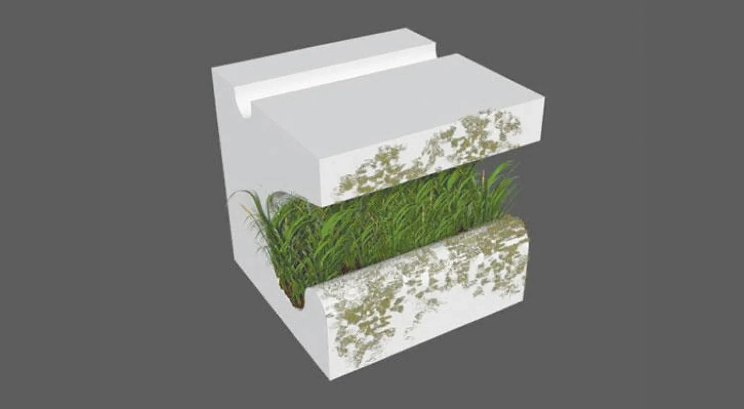 طوب حجر الكلس يتسع لزراعة النباتات