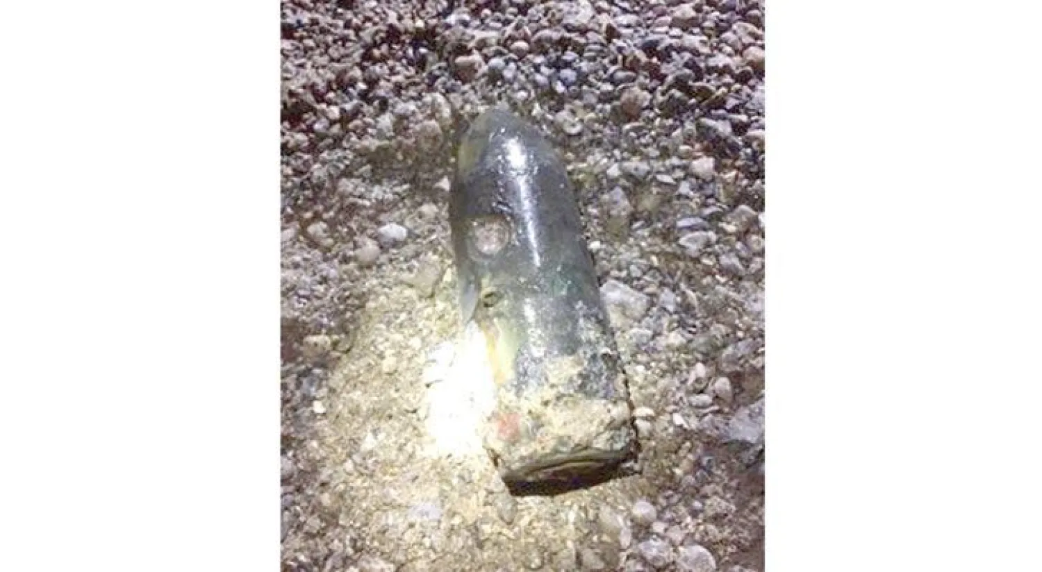 القنبلة التي أخرجتها السلطات الأمنية وأربكت حركة لندن أول من أمس (موقع البحرية البريطانية الإلكتروني)