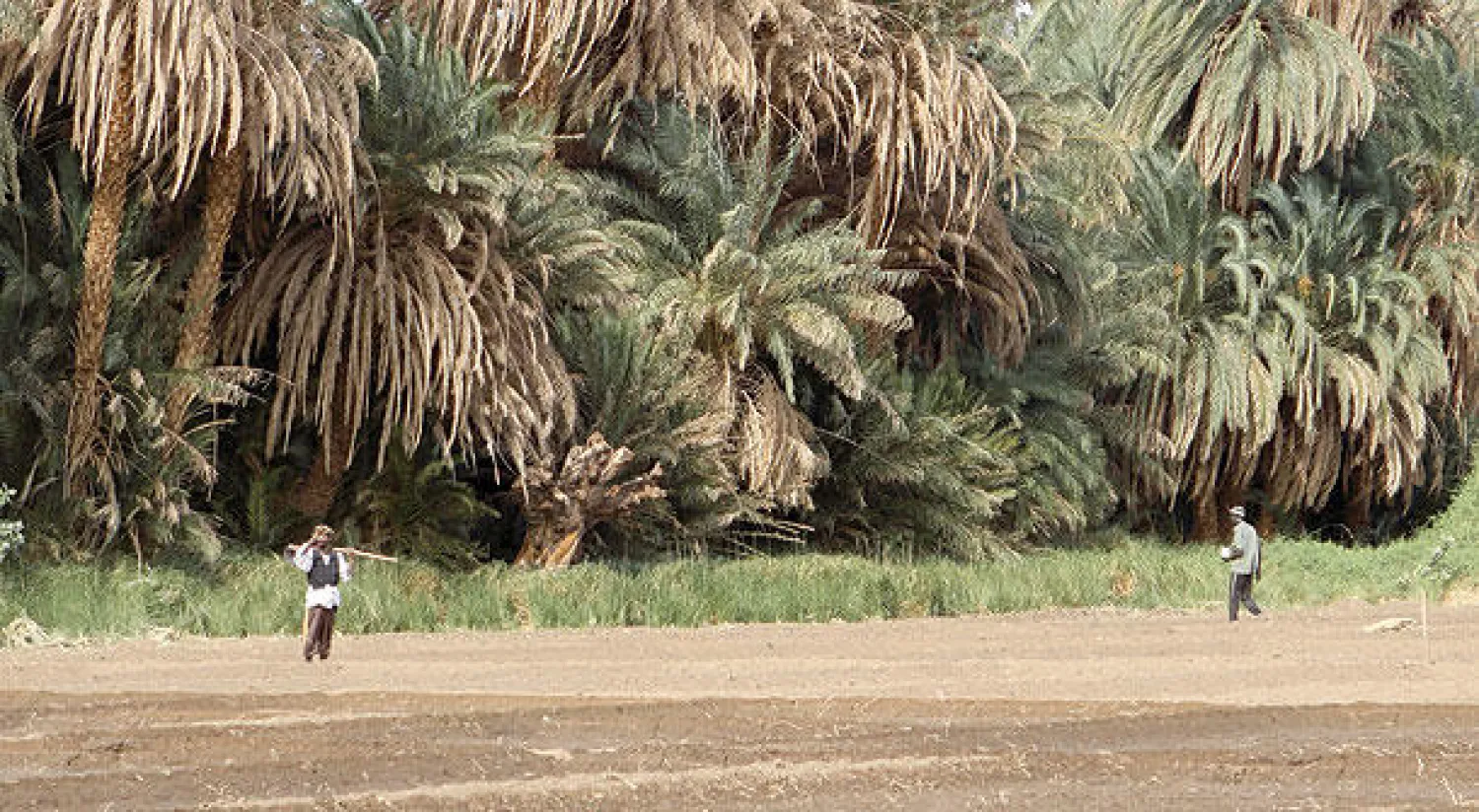 السودان يستقبل وفود رجال أعمال من ماليزيا والإمارات وعمان