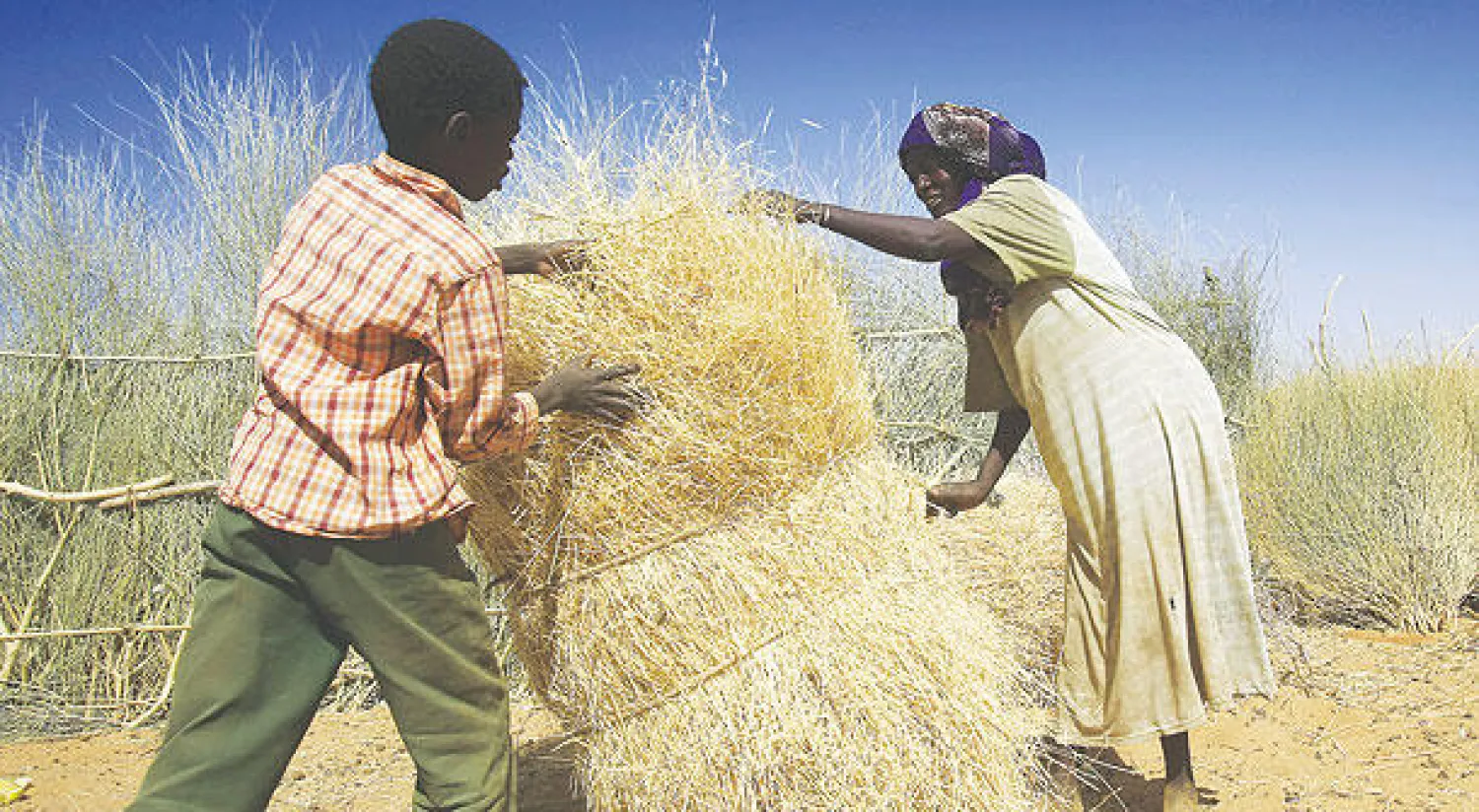 السودان يخطط لإلغاء الدعم نهائيًا عام 2019