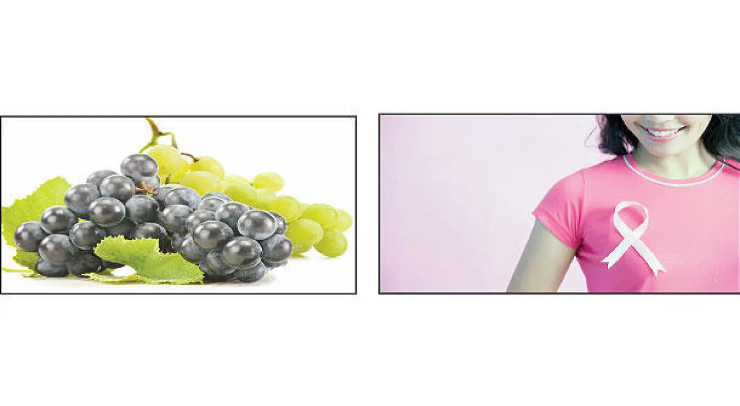 بين الخطأ والصواب