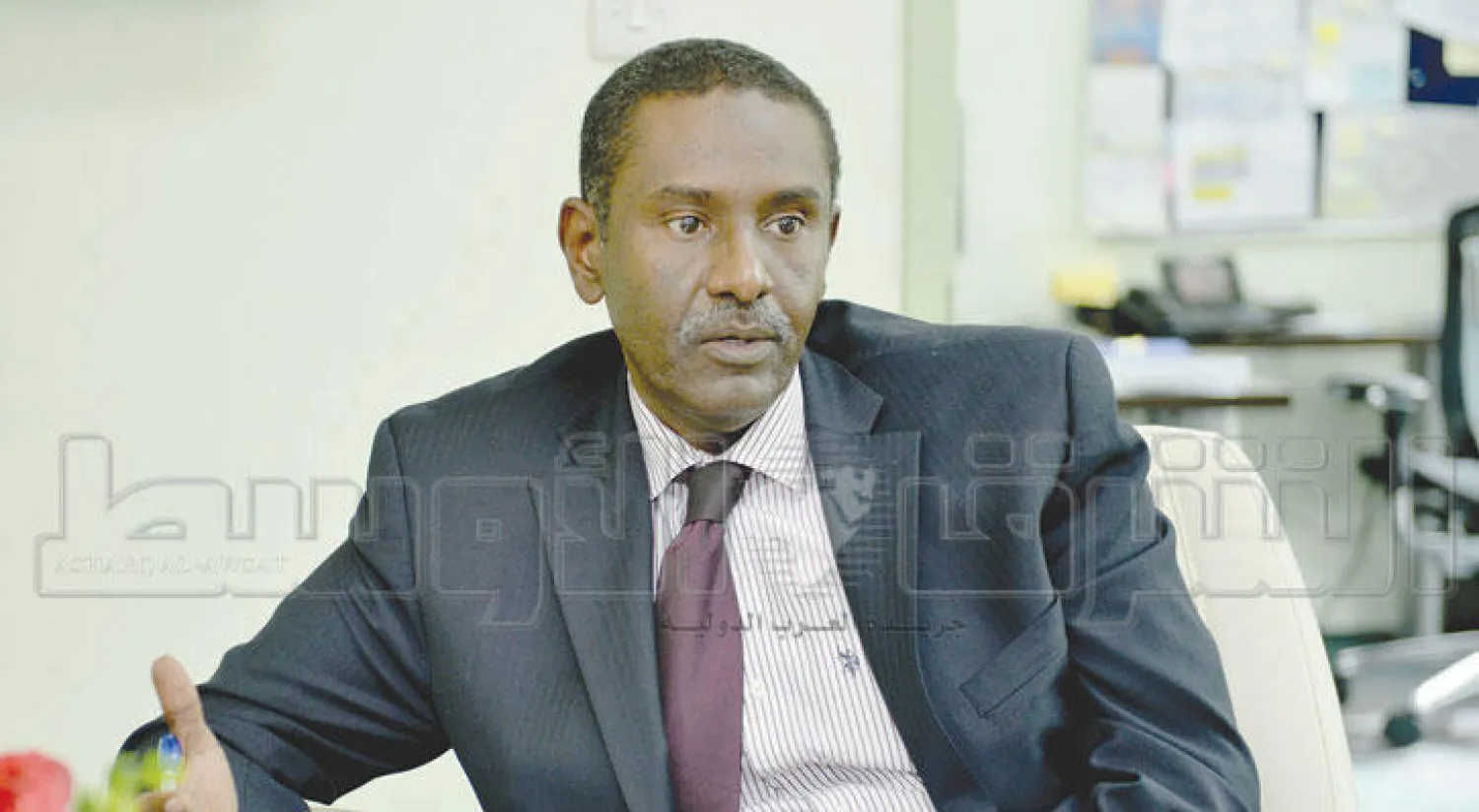 المدير الإقليمي للبنك الدولي نادر محمد (تصوير: بشير صالح)