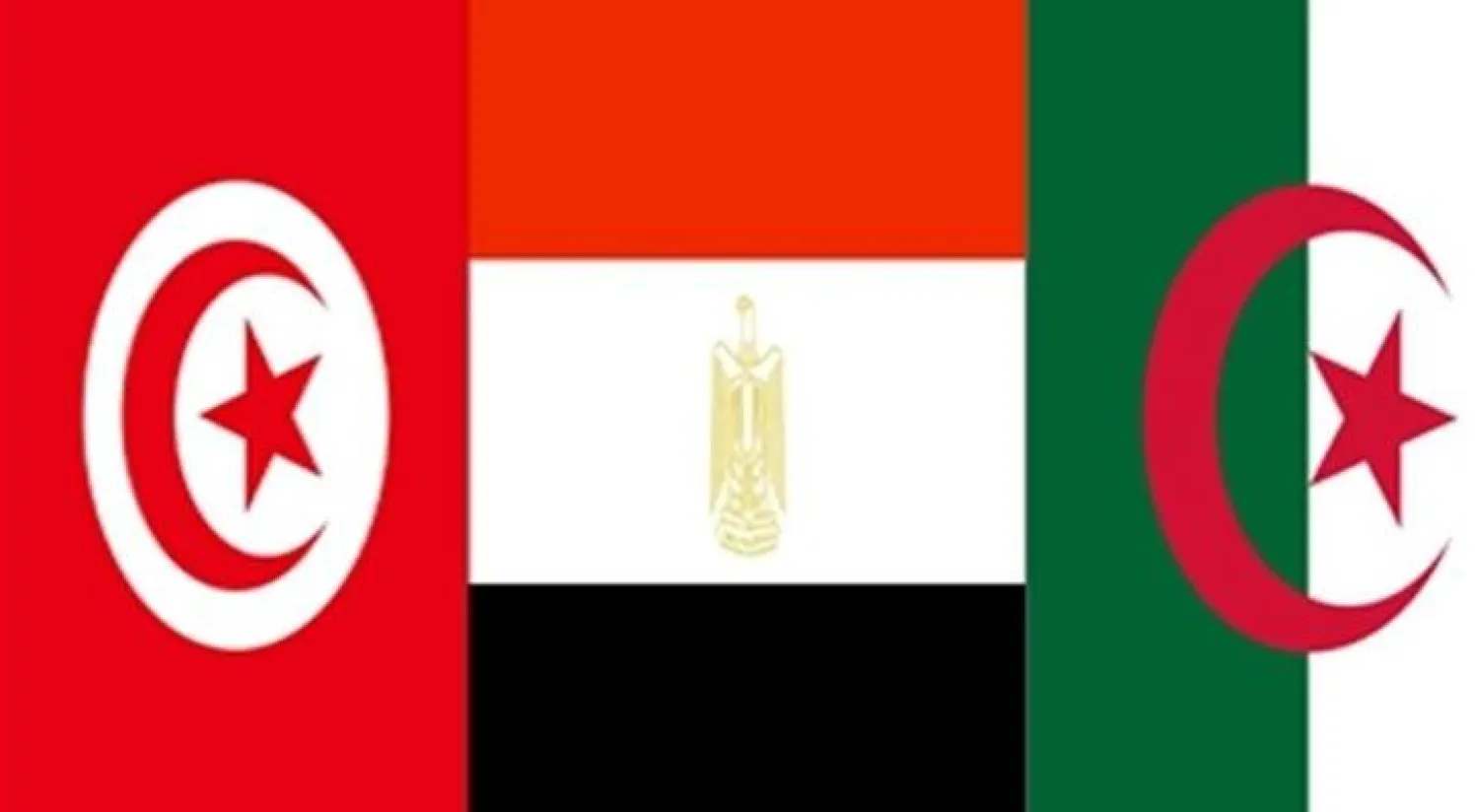 توقعات منخفضة عشية اجتماع لجيران ليبيا