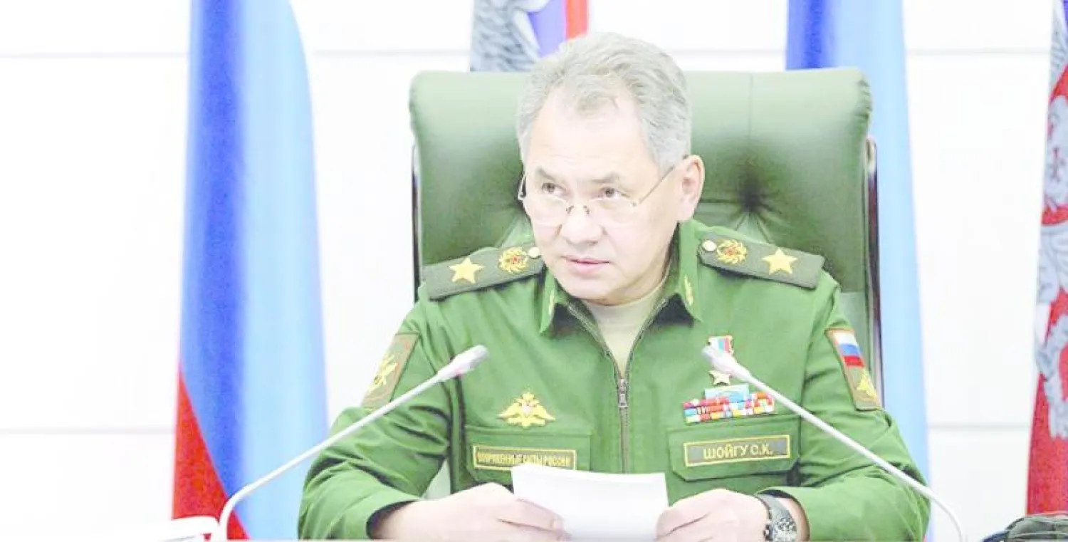 سيرغي شويغو وزير الدفاع الروسي  (وكالة سبوتنيك الروسية)