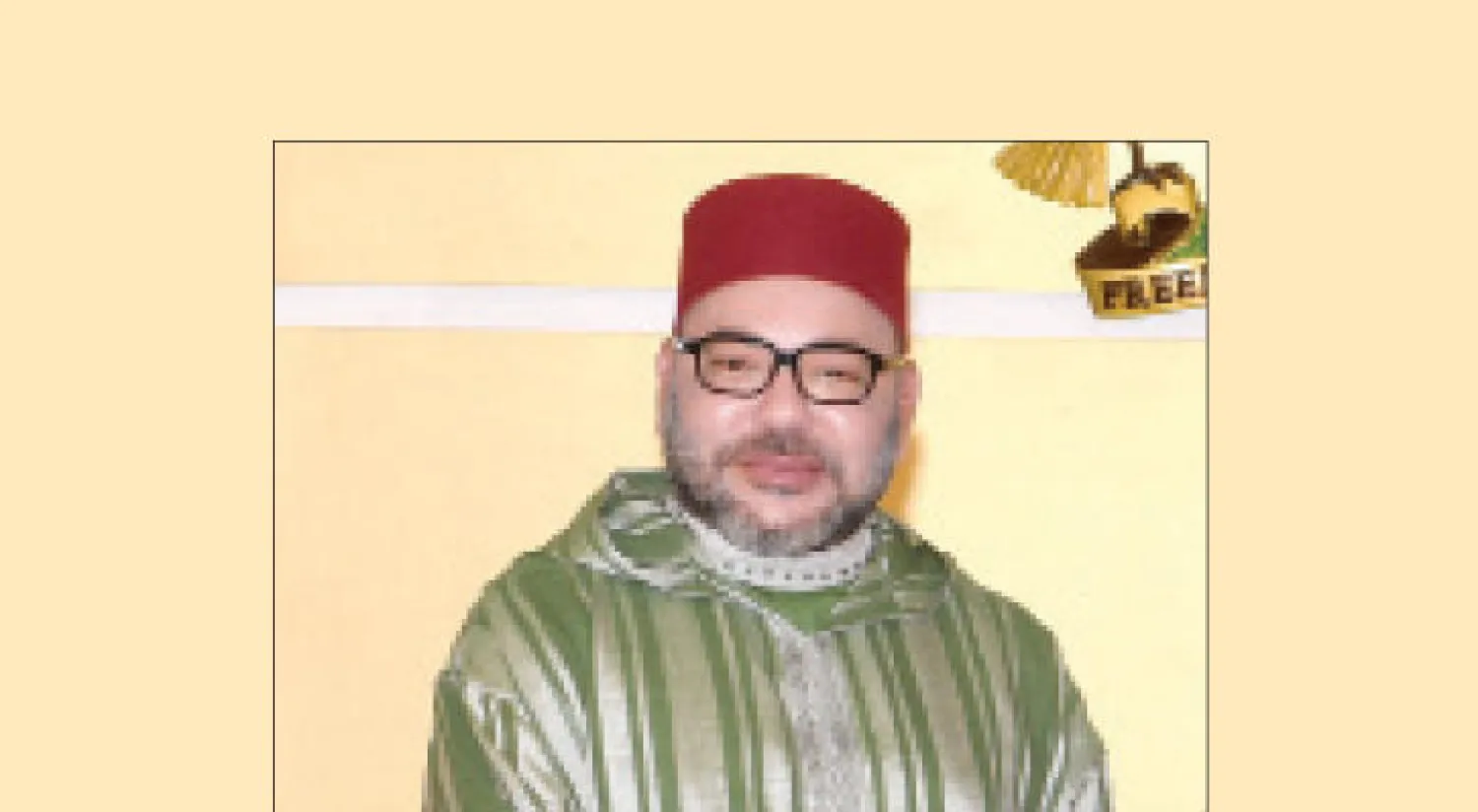 الملك محمد السادس