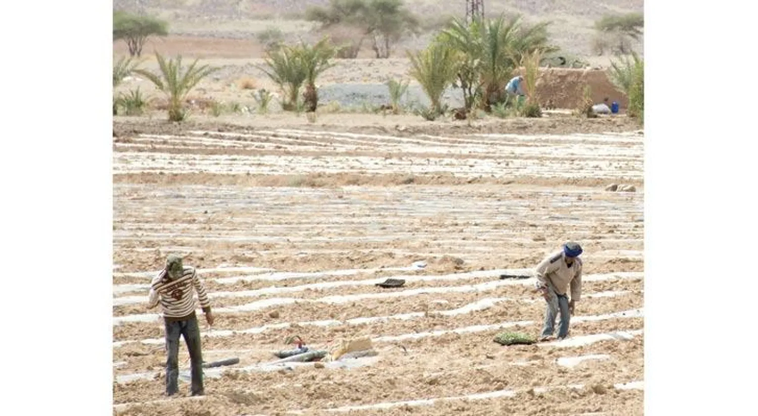 شركات مغربية كبرى وبنوك تضخ استثمارات كبيرة في منطقة أفريقيا جنوب الصحراء