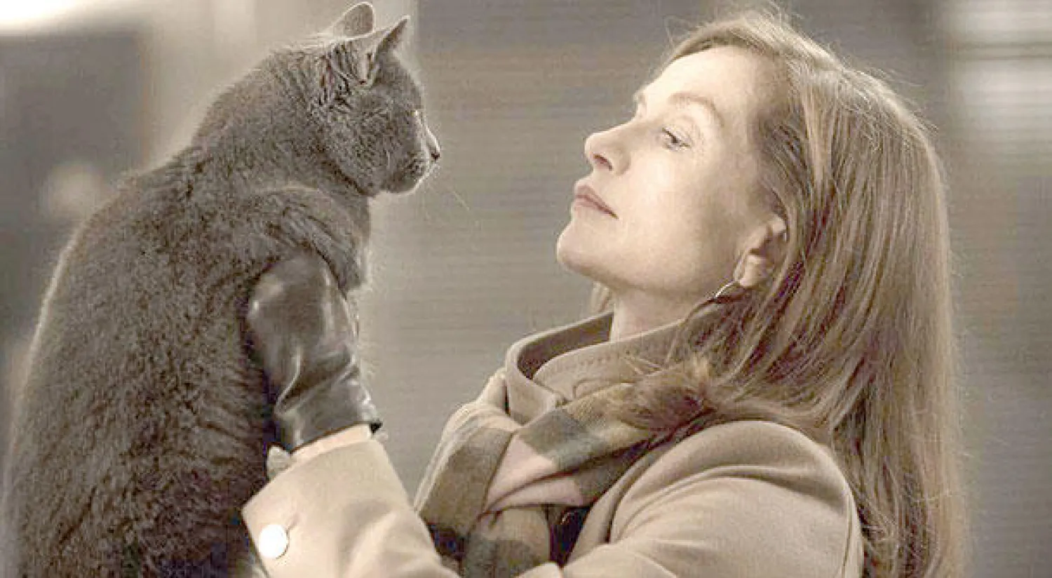 لقطة من «هي»: إيزابيل والقطّـة