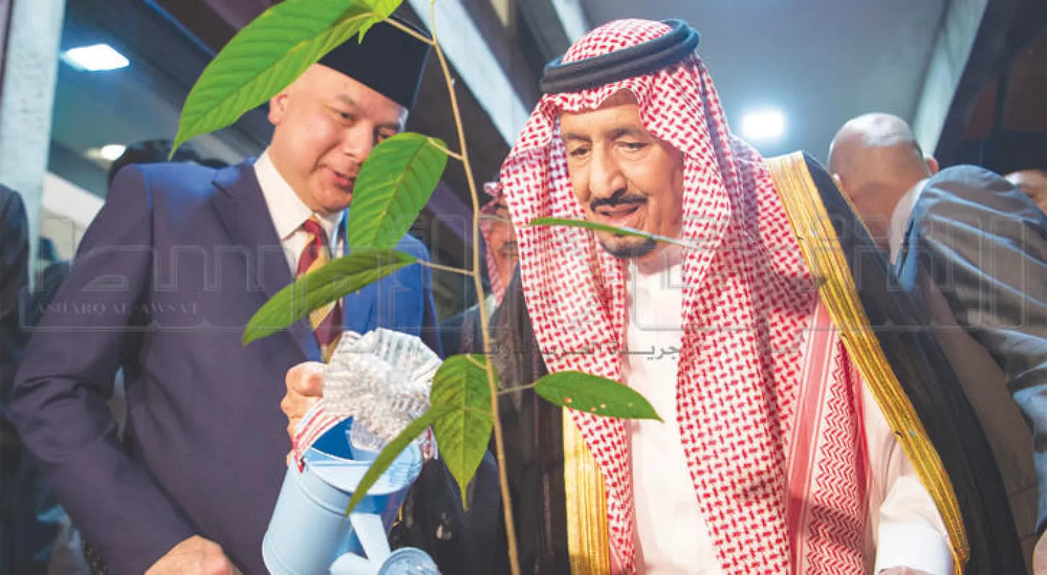 الملك سلمان بن عبد العزيز يسقي شتلة غُرست باسمه في جامعة مالايا في كوالالمبور أمس (تصوير: بندر الجلعود)