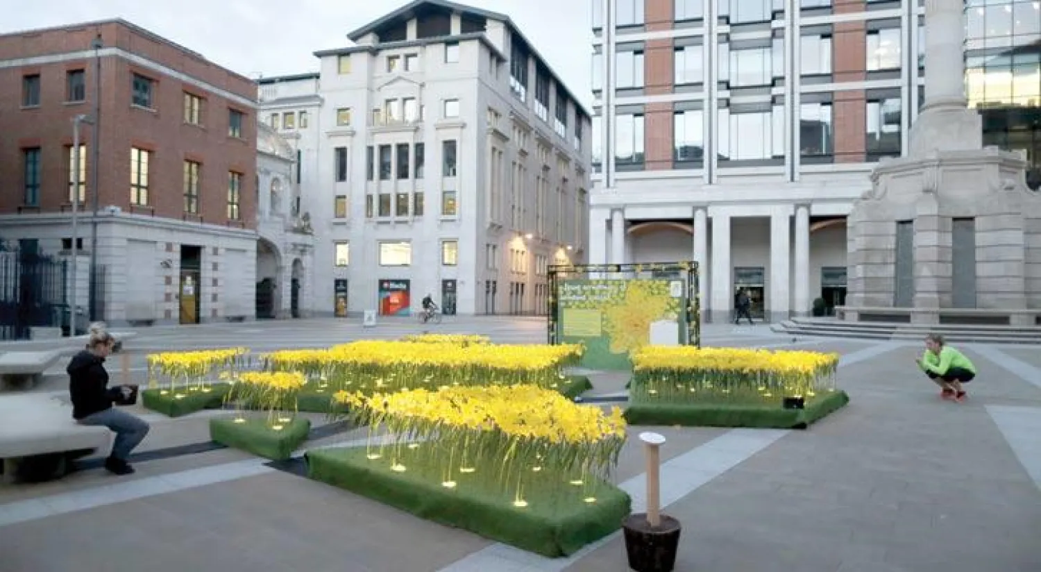 2100 زهرة نرجس تضيء محيط كاتدرائية {سانت بول}