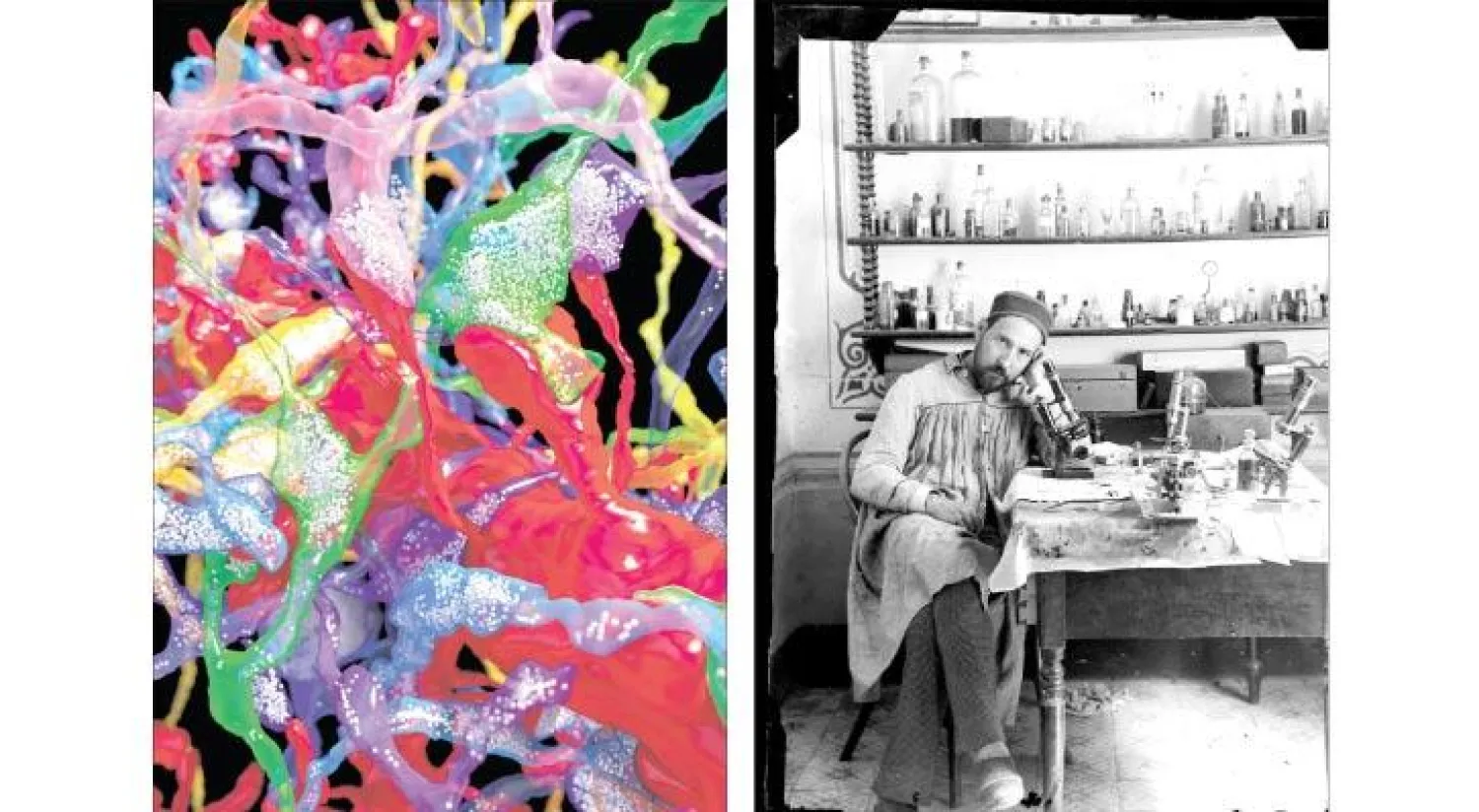 راموني كاجال (نيويورك تايمز) - صورة ملونة للتفاعل في الدماغ  (نيويورك تايمز)