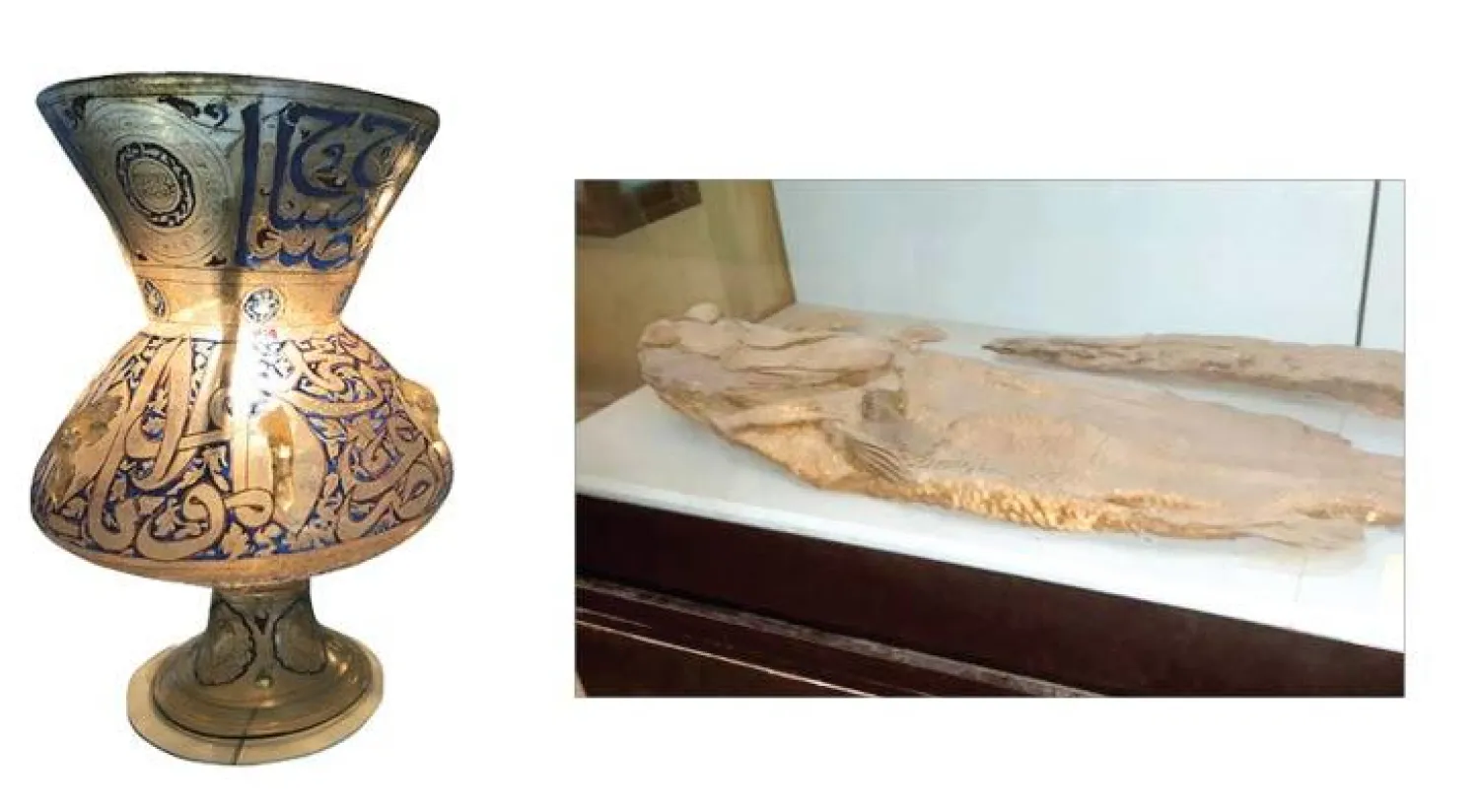 مجسم لنوع من الأسماك معروض في المتحف ({الشرق الأوسط}) - مشكاة من الزجاج