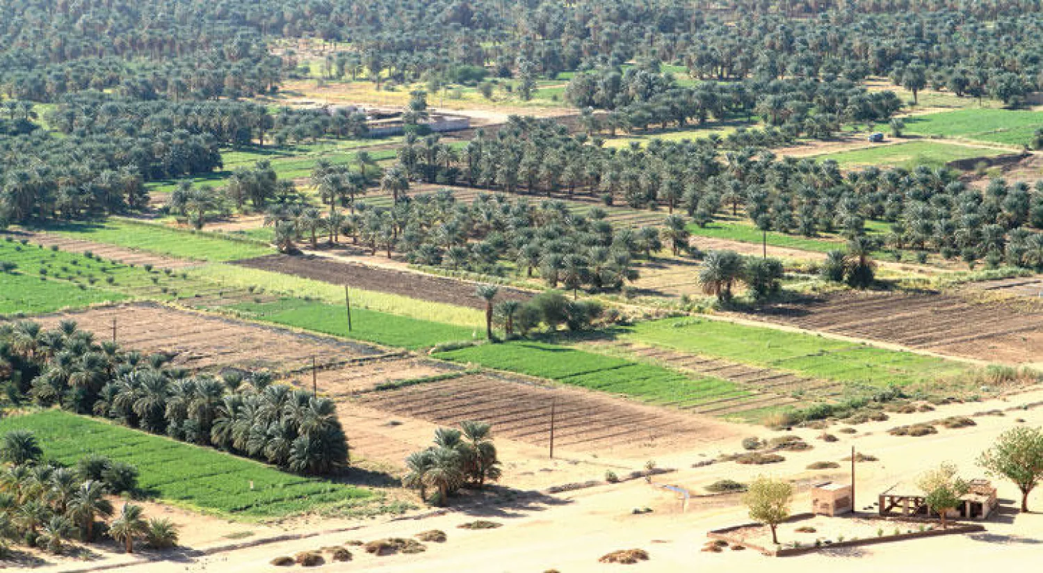 تحالف أفريقي ـ بريطاني لإعفاء ديون السودان الخارجية