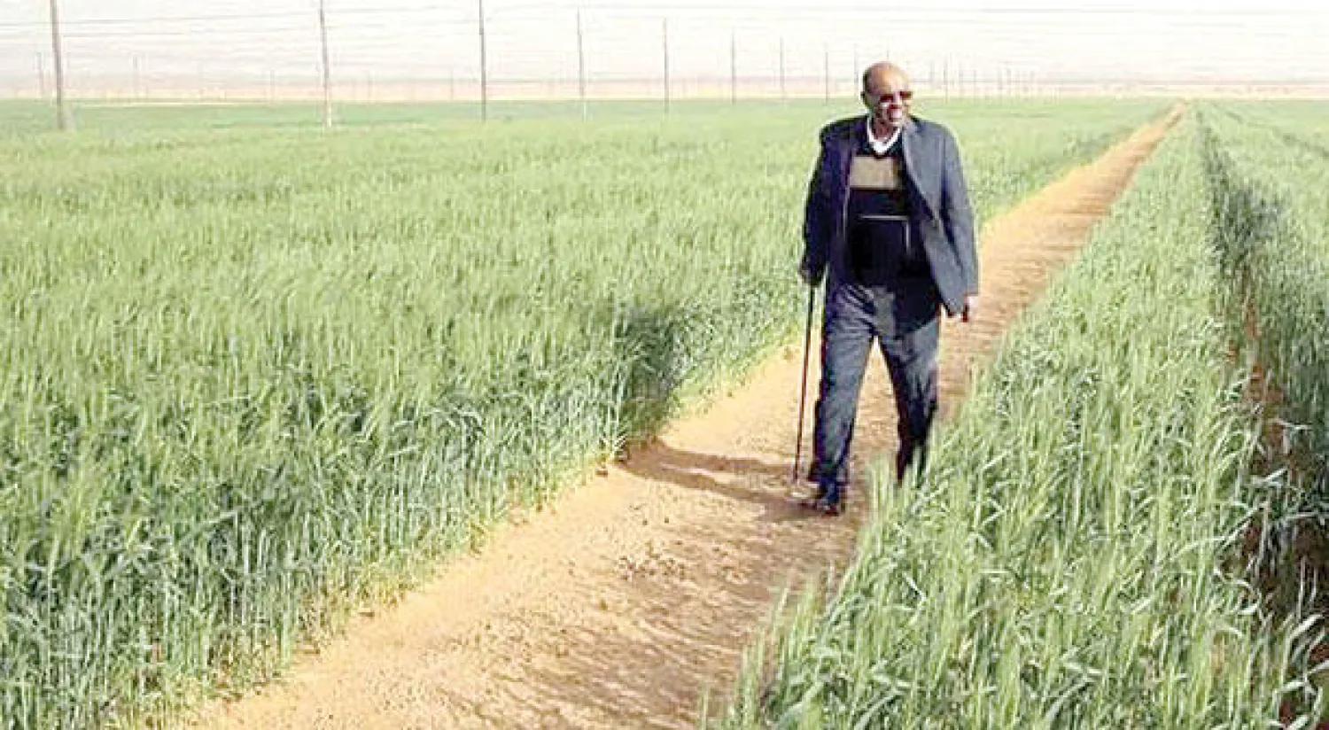 وجه الرئيس السوداني بالاهتمام بالاستثمارات السعودية والإماراتية في الزراعة والخدمات