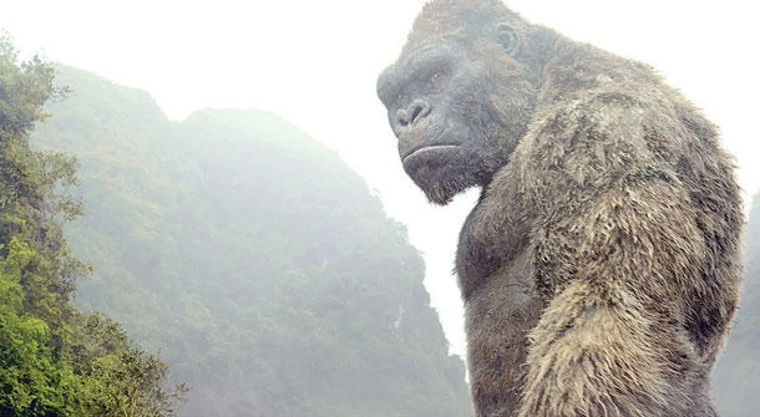 من «كونغ: جزيرة الجمجمة» لجوردان فوت - روبرتس‬