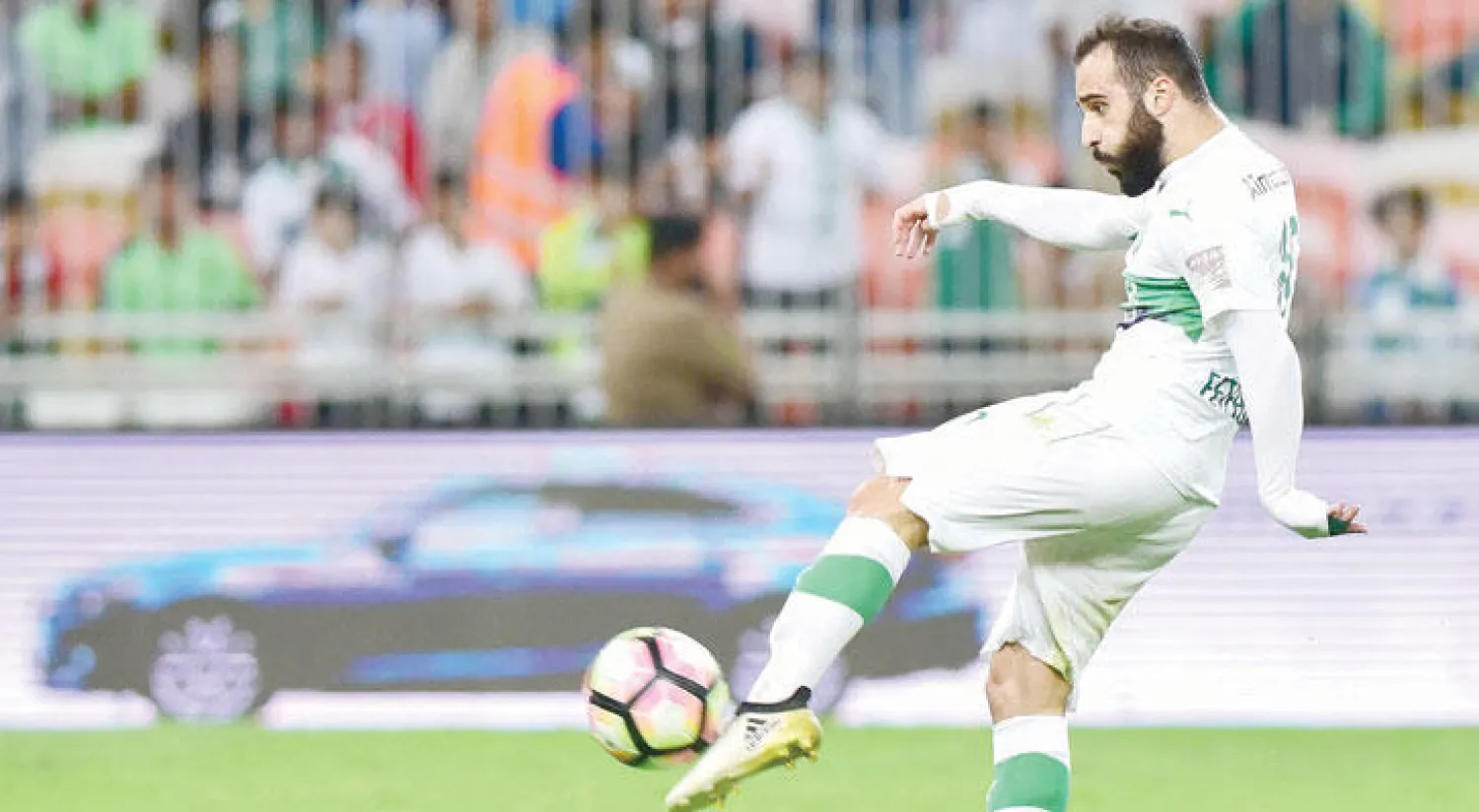 فيتفا («الشرق الأوسط»)