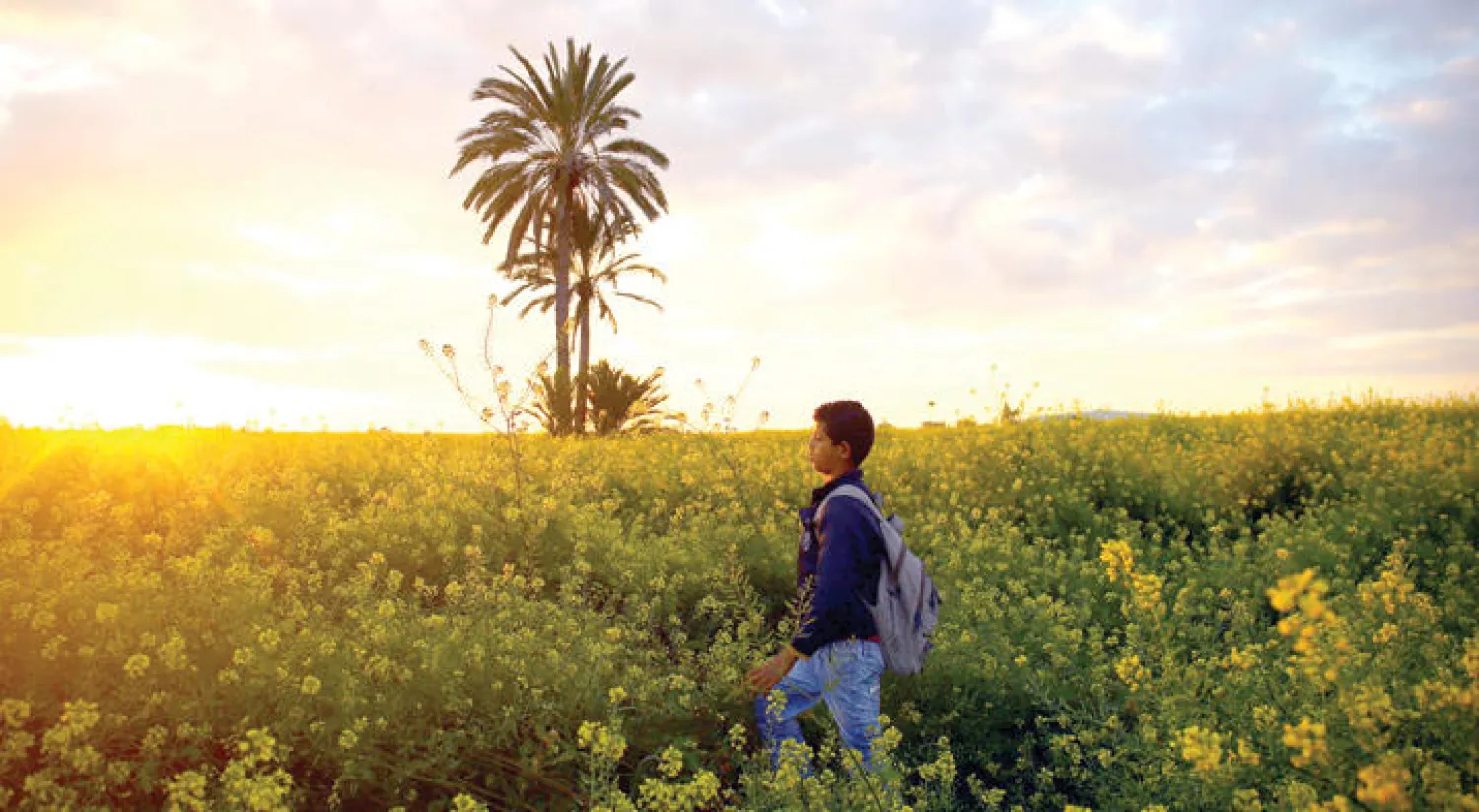 فتى فلسطيني في حقل زهور بغزة (أ.ف.ب)