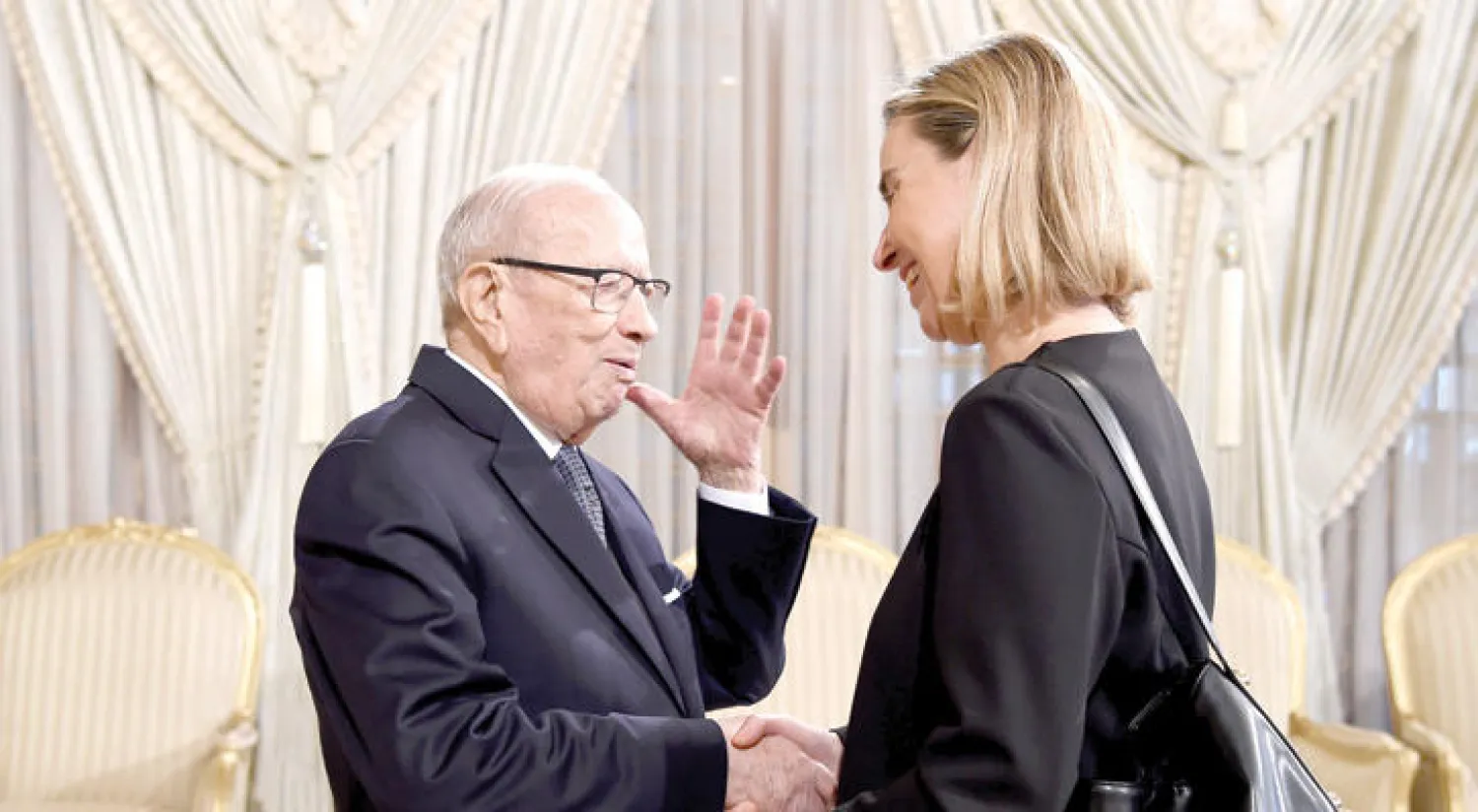 الرئيس التونسي الباجي قائد السبسي لدى استقباله فيديريكا موغيريني المسؤولة عن الشؤون الخارجية في الاتحاد الأوروبي في نوفمبر الماضي (غيتي)