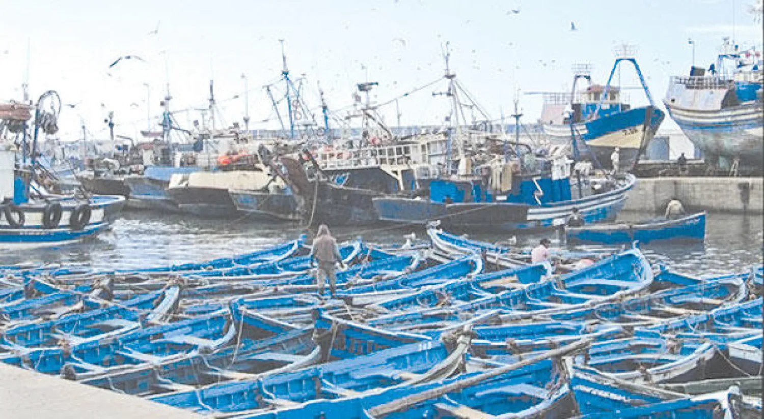 اتفاقية للقضاء على الصيد غير المشروع في البحر المتوسط بحلول 2020