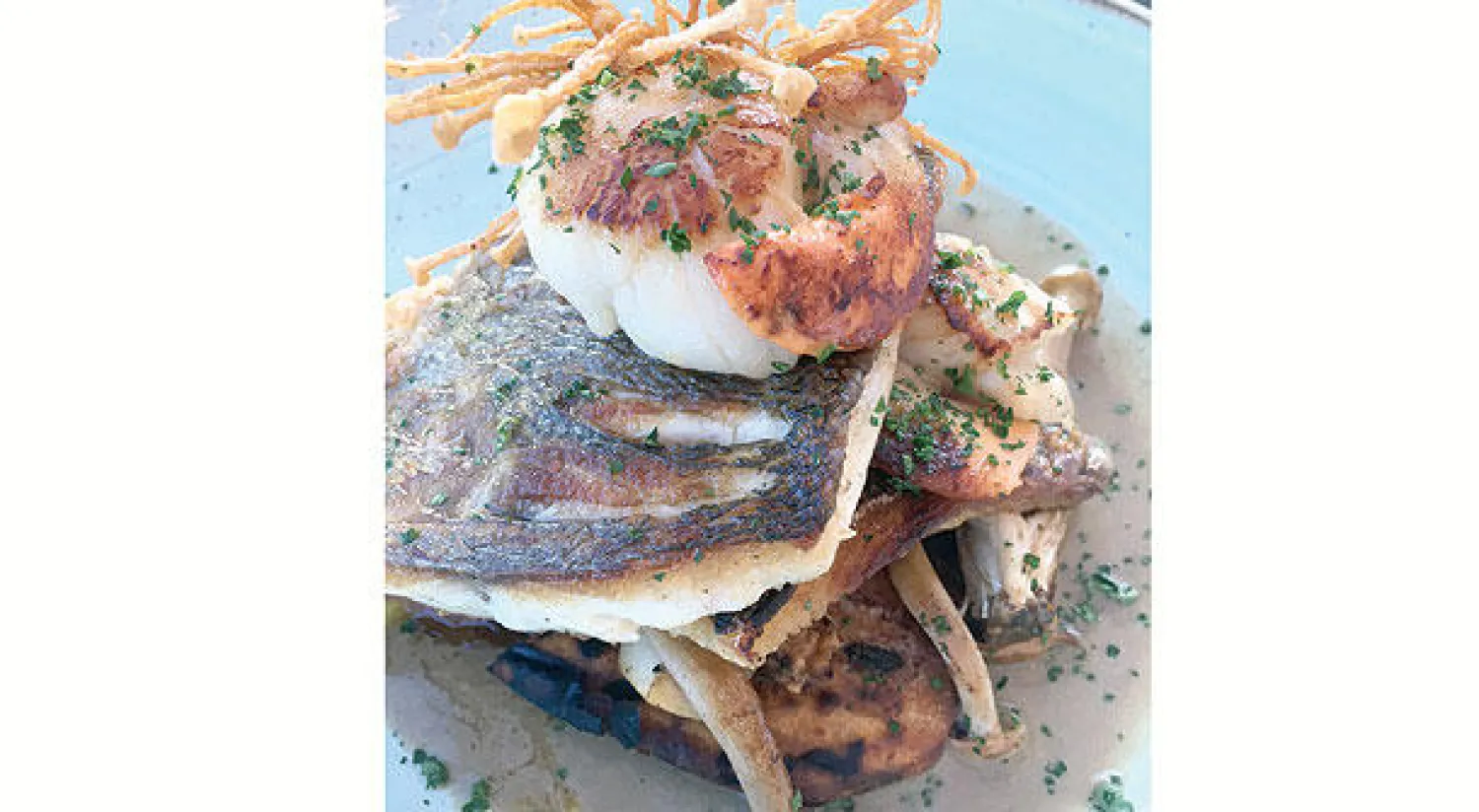 رأي في طبق 5 نجوم