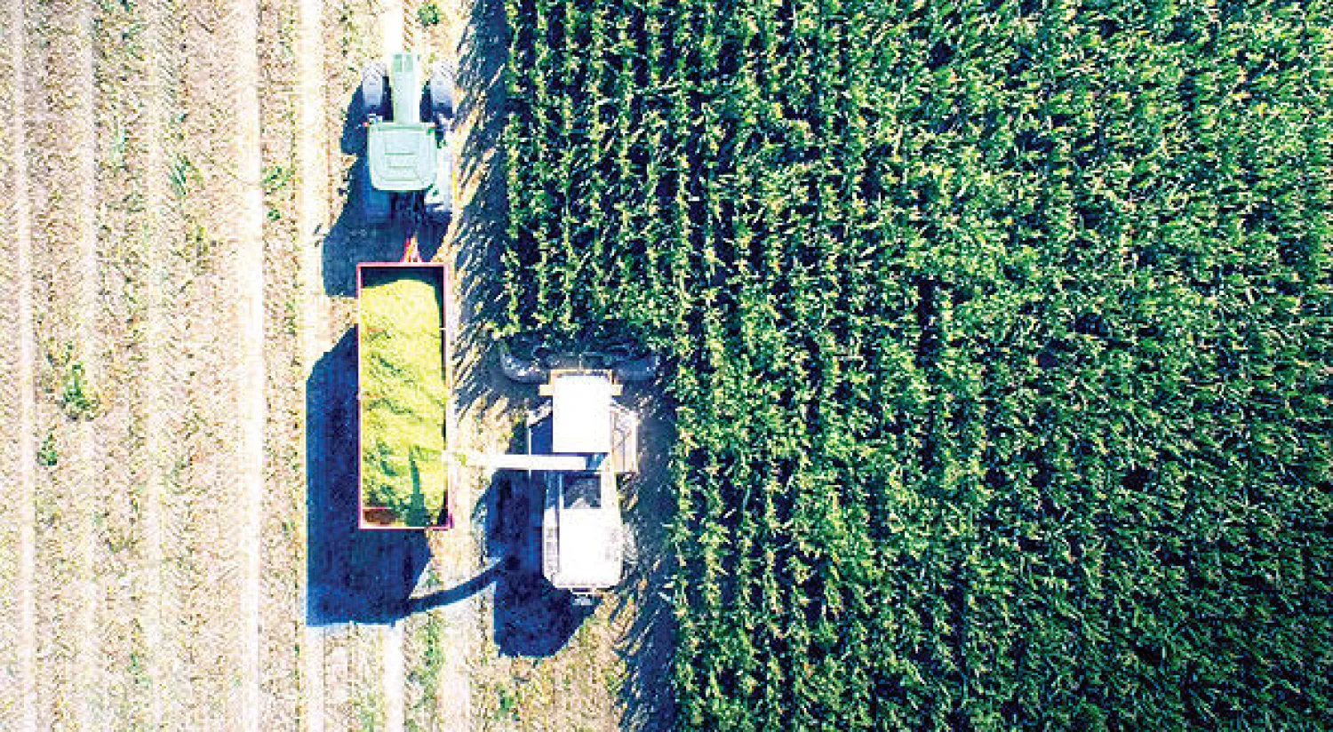 بروكسل تعتمد مبادرة «بريما» لتوفير المياه والأغذية  في إطار الشراكة الأورومتوسطية