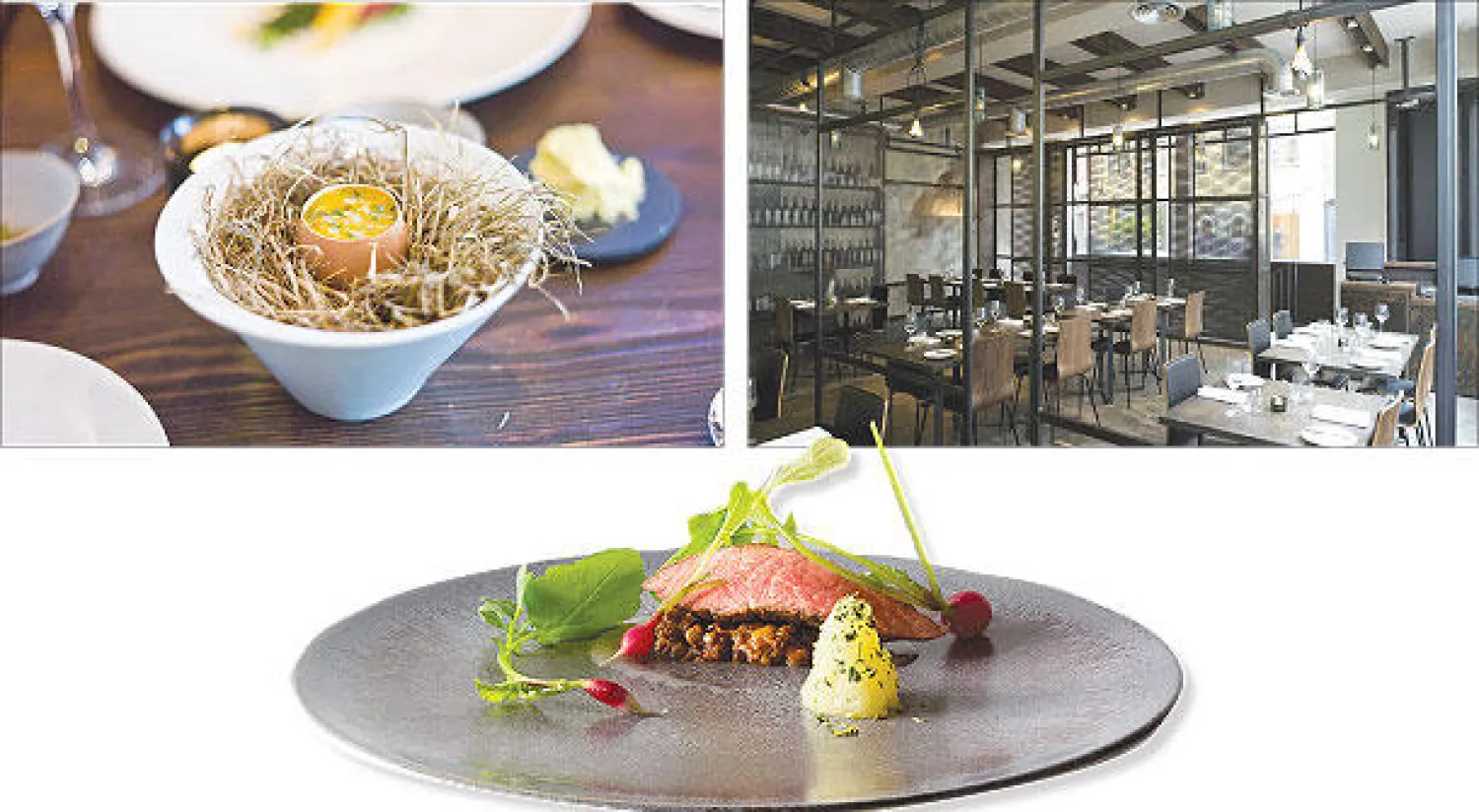 طبق أولي عبارة عن بيضة توضع بالفرن مع المشروم