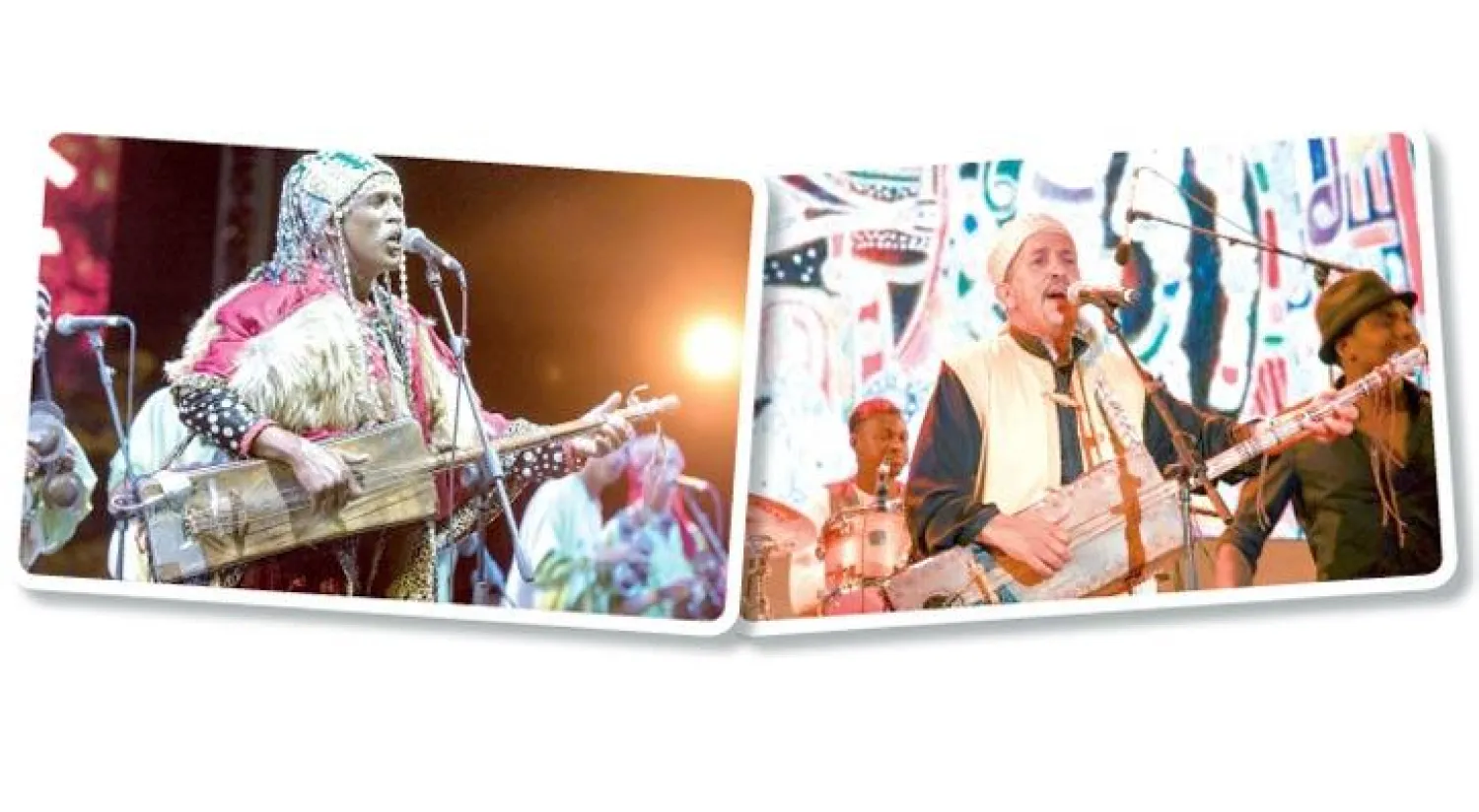 جانب من المهرجان