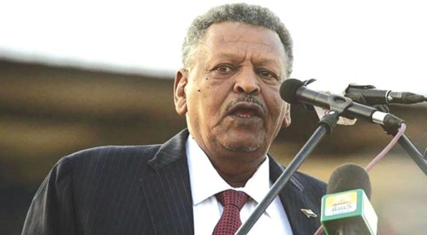 رئيس الوزراء بكري حسن صالح