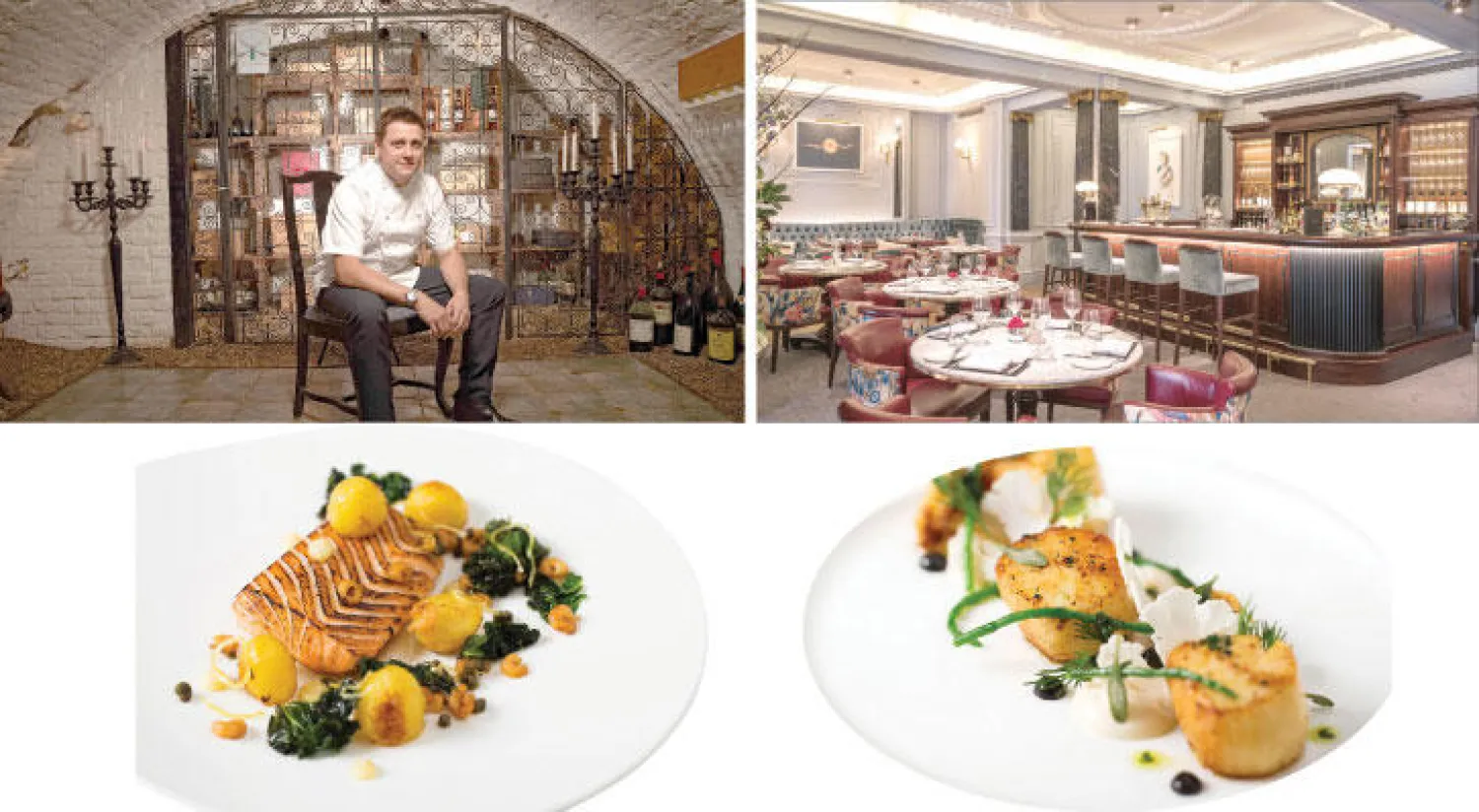 جانب من المطعم الإنجليزي المميز  -  الشيف جيمس دورانت  -  سرطان البحر «سي سكالوب»   -  طبق السلمون على طريقة دورانت