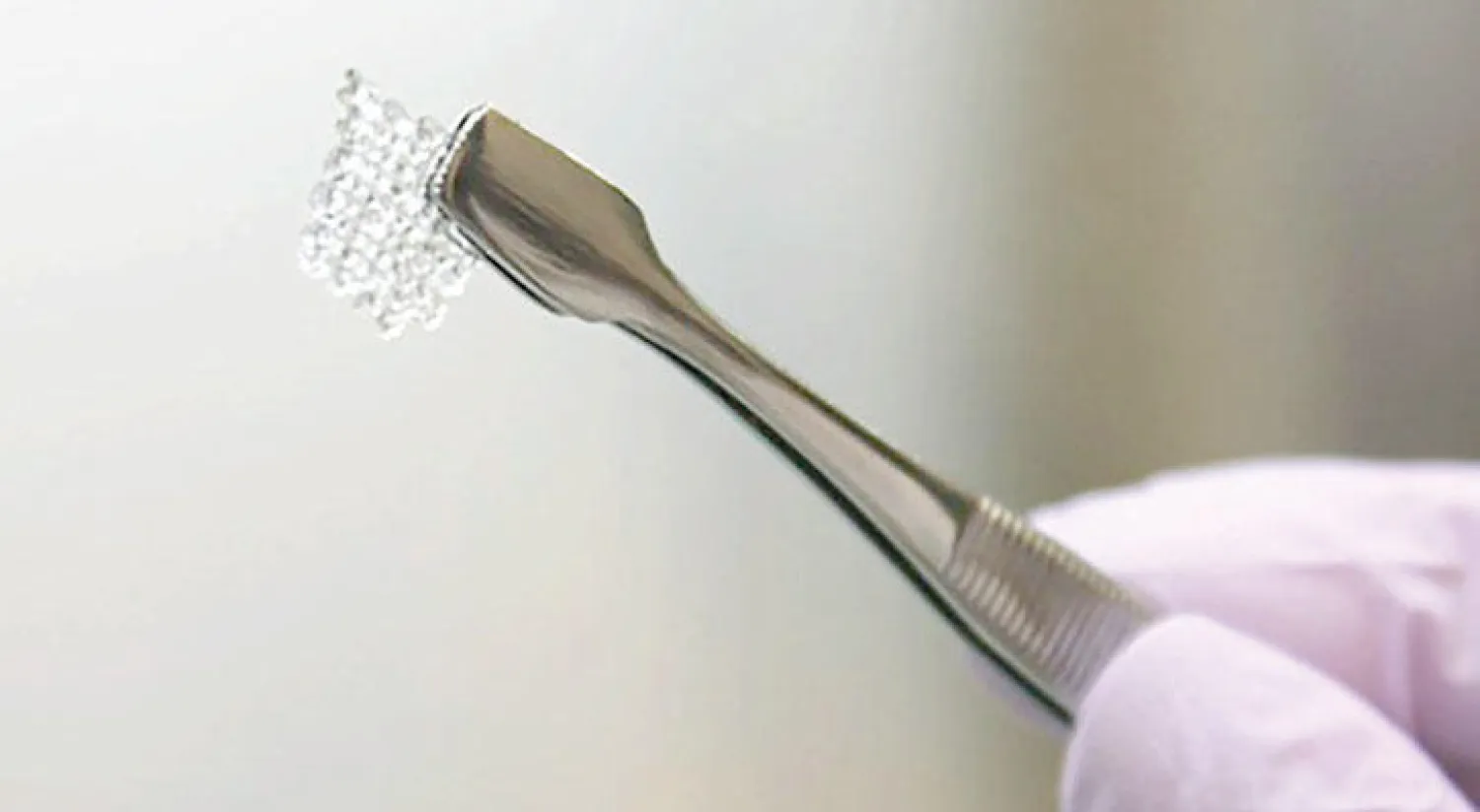 هيكل للمبيض المهندَس بيولوجياً