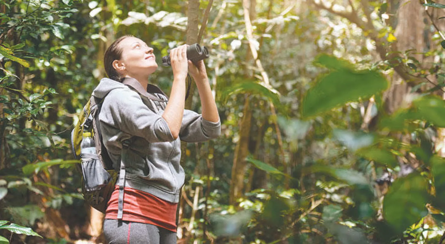 {مشاهدة الطيور} من الهوايات السياحية الأخذة في التوسع
