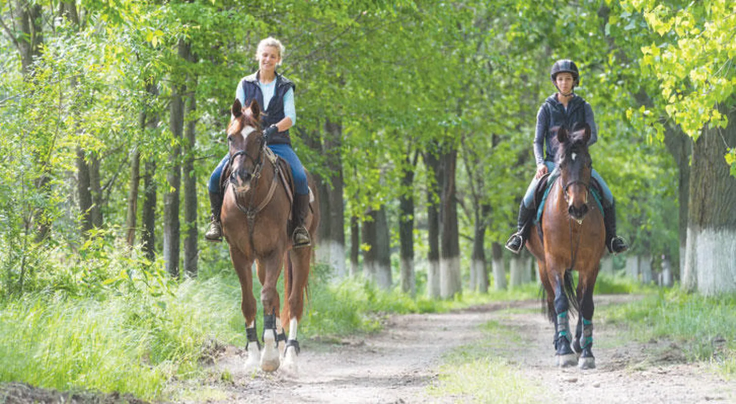 رحلة البحث عن كاثرين