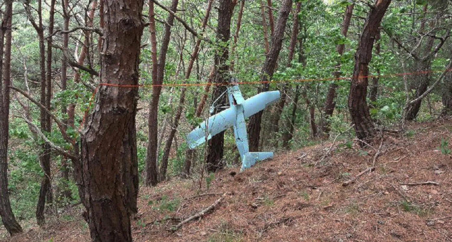 تحطمت الطائرة اثناء هبوطها بالقرب من الحدود شديدة التحصين بين الكوريتين (أ.ب)