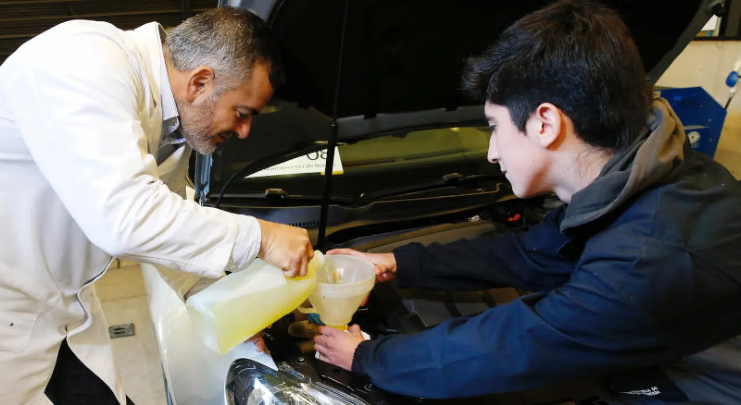 علماء يستخلصون وقوداً حيوياً من الطحالب