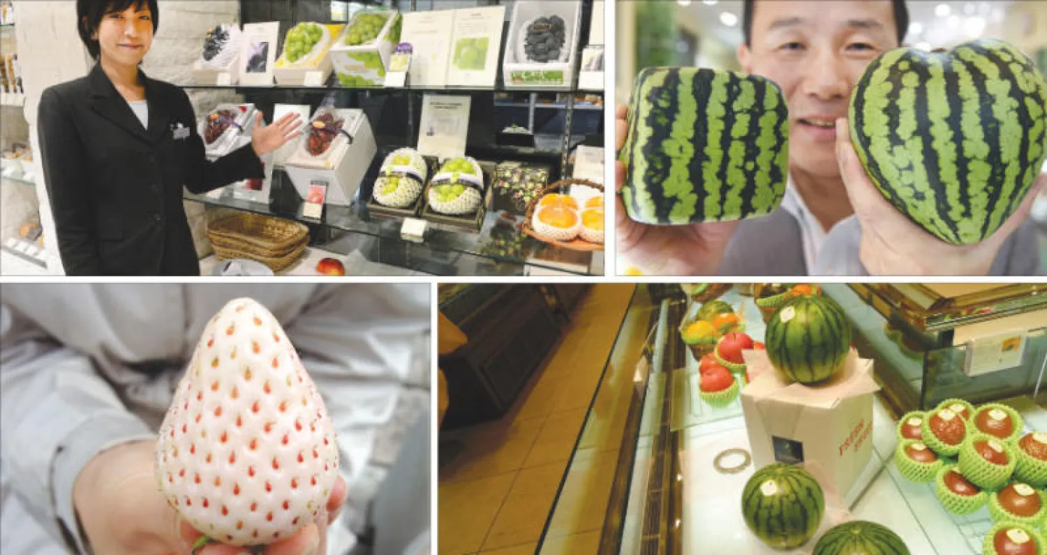 بطيخ مربع أو على شكل قلب - محل لبيع الفاكهة الفاخرة في العاصمة طوكيو