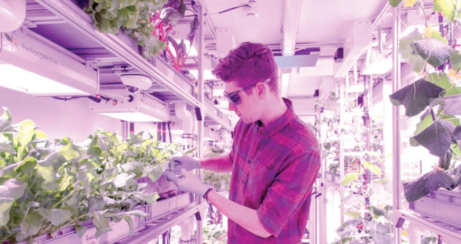 متدرب داخل بيت الزراعة القطبية «الهولندي» (رويترز)