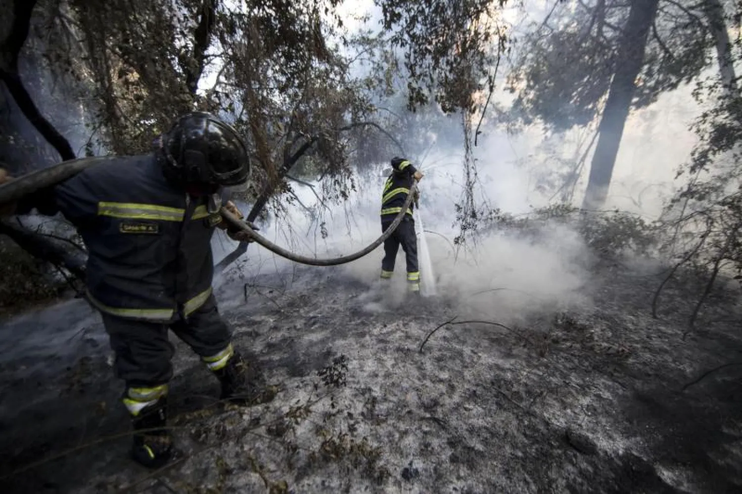 رجال الإطفاء يحاولون إخماد النيران في غابات روما (إ.ب.أ)