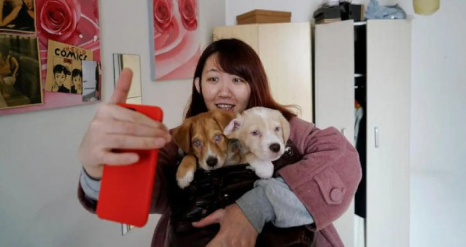 الموسيقى للكلاب يجدي نفعاً لأنها مفيدة في التغطية على الضوضاء الأخرى (رويترز)