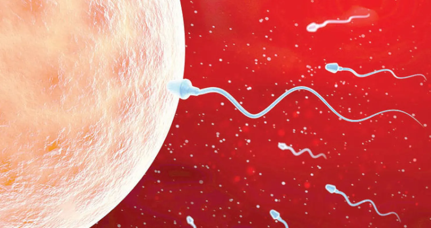 باحثون: تراجع كبير في عدد الحيوانات المنوية لدى رجال العالم المتقدم