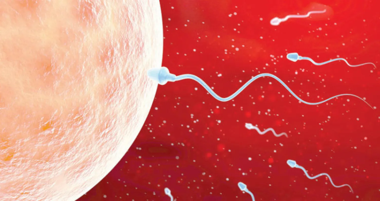 تراجع خصوبة الرجال في العالم المتقدم