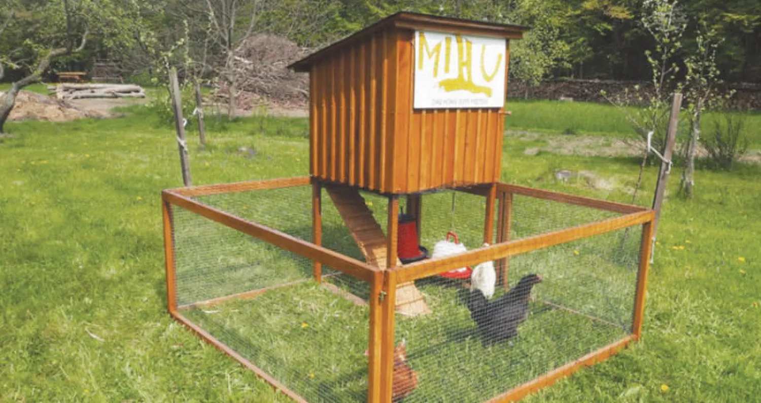 دجاج حي... جديد خدمة المنازل في النمسا