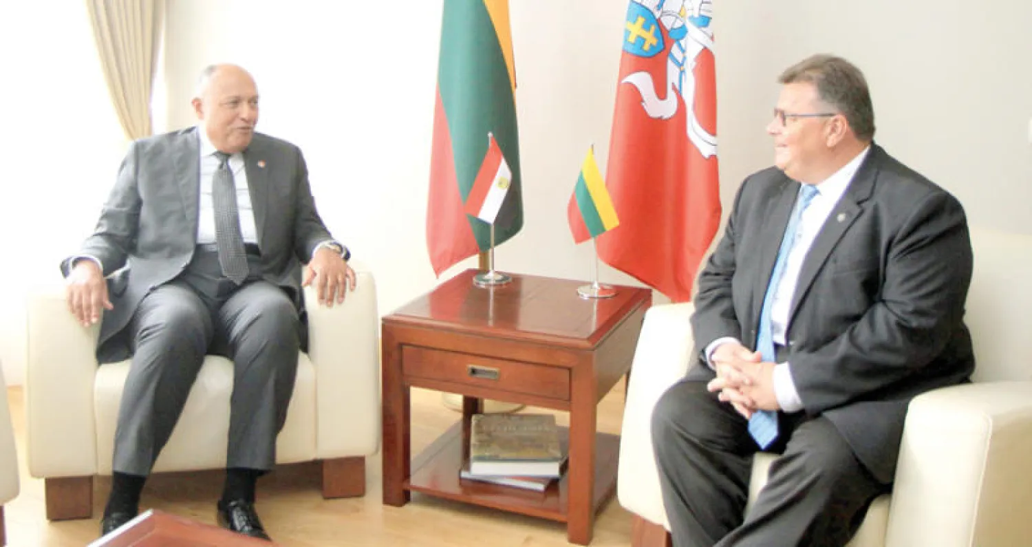 شكري لدى اجتماعه برئيس الحكومة الليتواني أمس (أ.ف.ب)