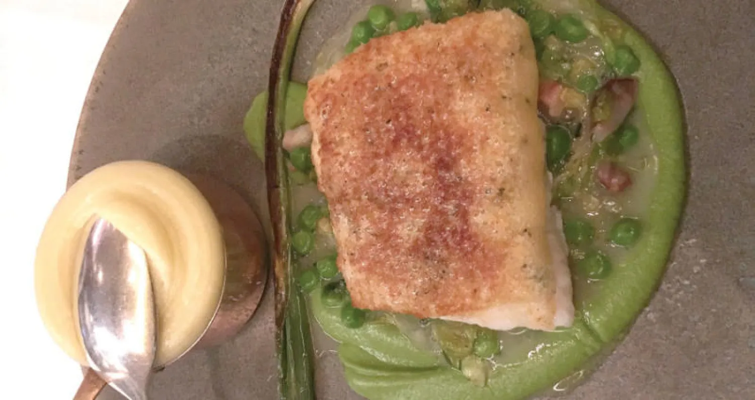 رأي في طبق: سمك «هيك» مع صلصة البازلاء