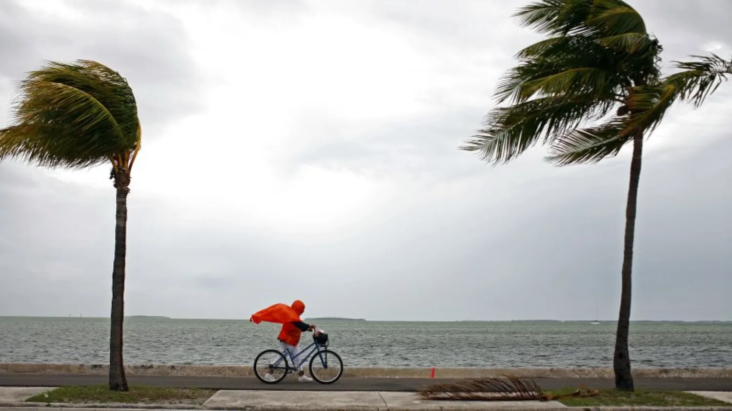Powerful Category 4 storm Hurricane Irma barreled towards the Caribbean and the southern United States. (Reuters)