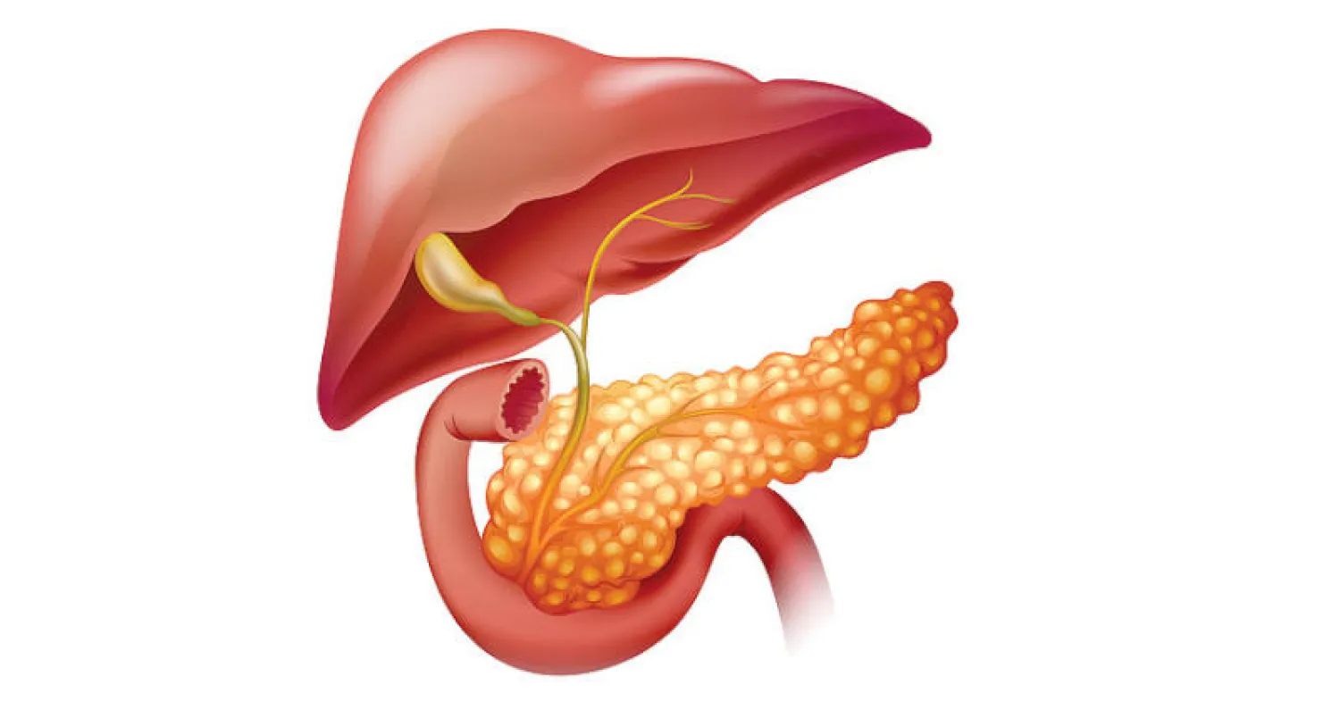خفض تناول السعرات الحرارية إلى الربع... يشفي من مرض السكري