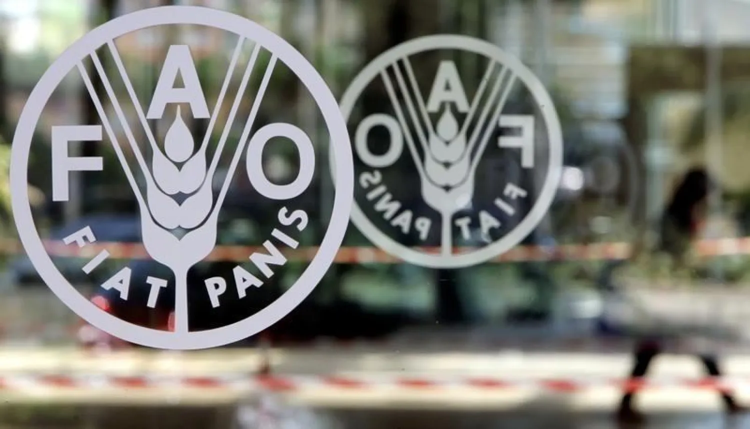 The logo of the Food and Agriculture Organization (FAO) is seen on the door of the headquarters in Rome August 31, 2005. (Reuters)