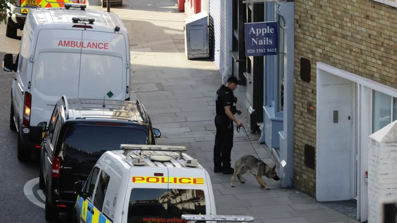 A police officer and a sniffer dog stand in the street near Parsons Green tube station in London, UK, September 15, 2017. Reuters photo