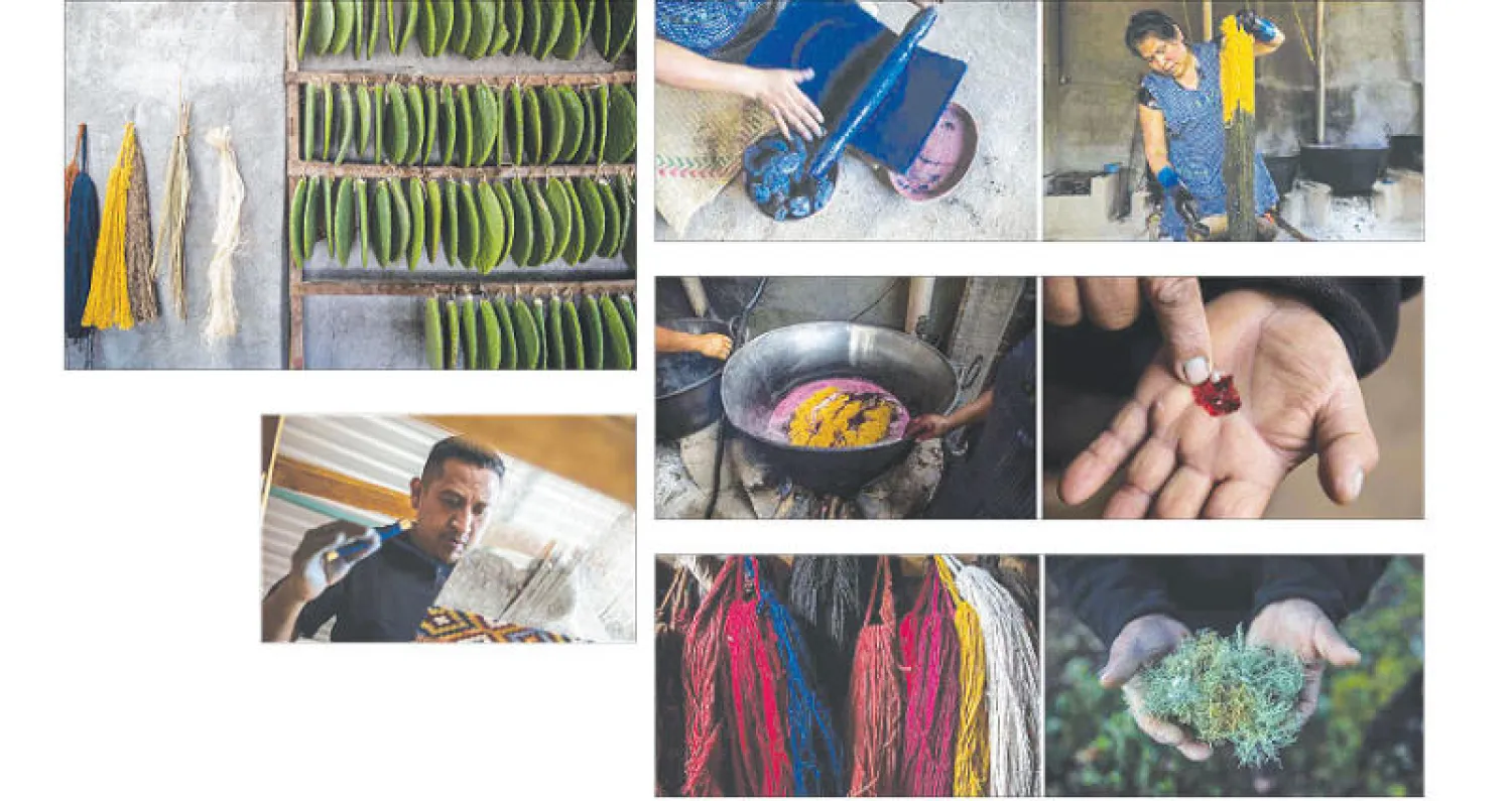 جوانا غوتيز تصبغ الصوف في الأصباغ الطبيعية بورشة عائلتها (نيويورك تايمز) - اللون الأحمر المستخرج من حشرة (يمين)   - صوف ملون بالأصباغ الطبيعية (يسار) وعلى اليمين نبات يستخدم لاستخراج الصبغة الصفراء  - في ورشة عائلة غوتيريز نماذج من الصوف الملون  - بورفيريو غوتيريز يغزل الصوف في ورشته (نيويورك تايمز)