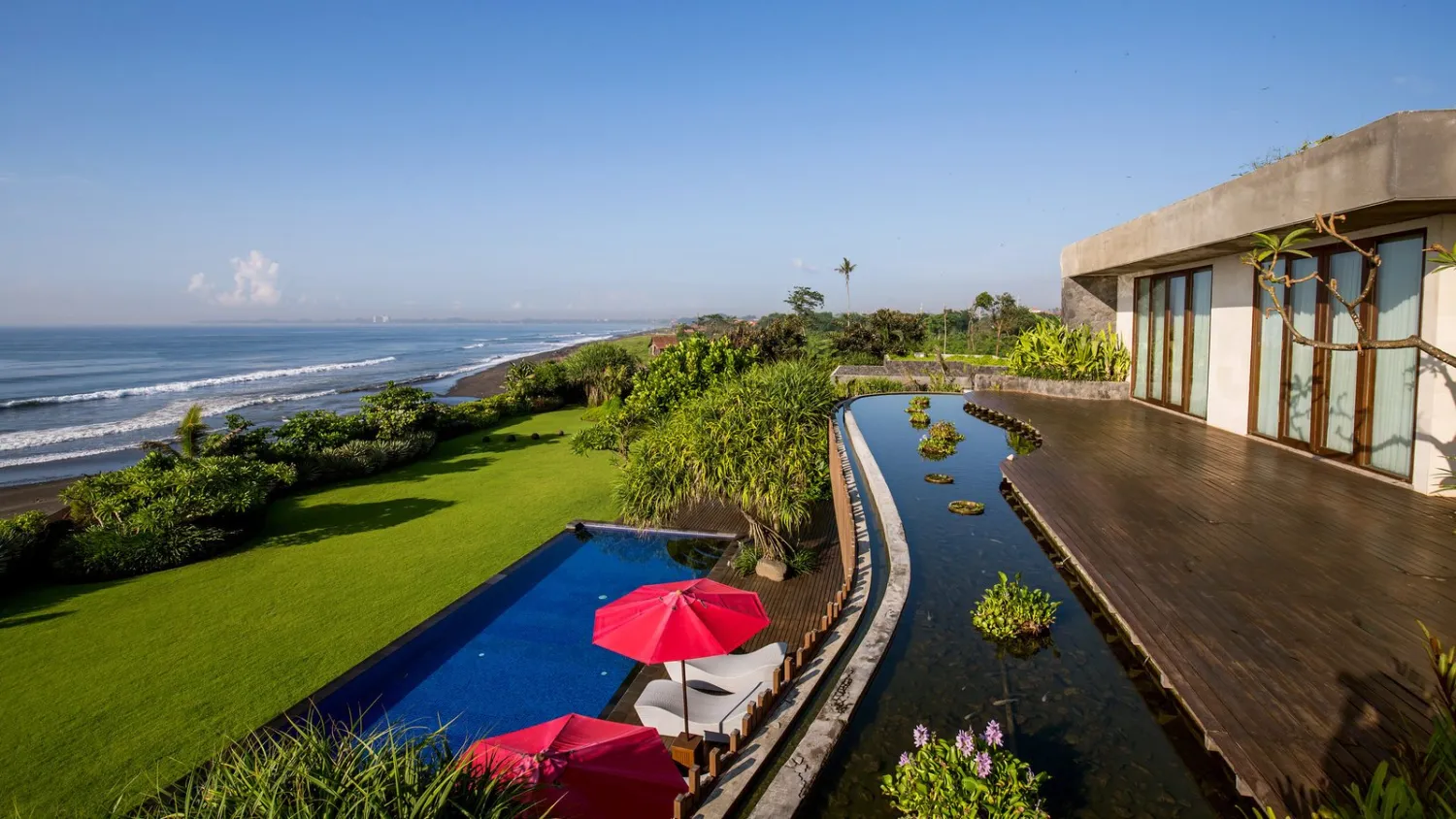 Image by CreditDasha Almazova via New York Times